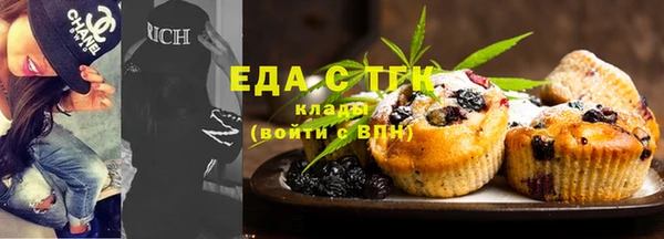 индика Баксан