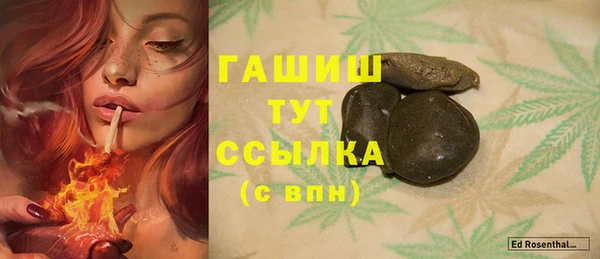 индика Баксан