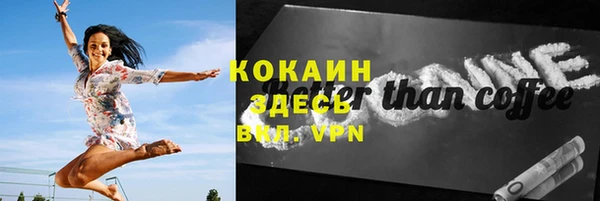 индика Баксан