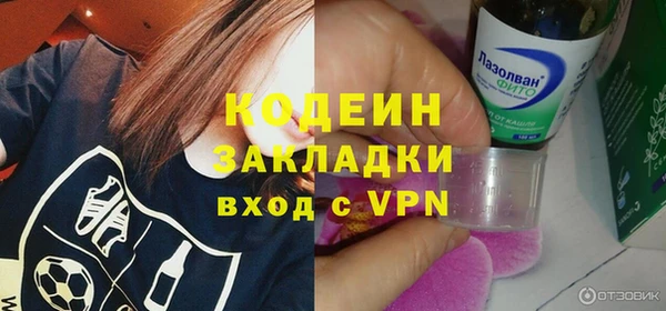 индика Баксан