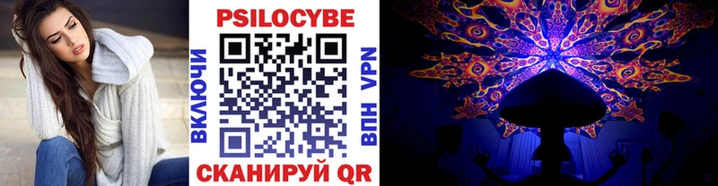Галлюциногенные грибы Psilocybe Олёкминск